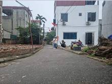 Hình ảnh Chính chủ cần bán 2 lô đất cạnh nhau tại Xóm 3 Đông Dư