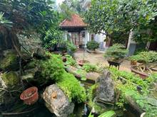 Hình ảnh Bán biệt thự sân vườn Quận 2, Khu Compound chỉ 9 căn, View sông+LM 81.