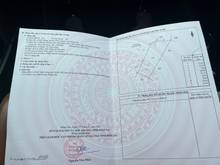 Hình ảnh Vườn dừa xã Phú Đông mặt tiền đường dự kiến. Phù hợp cho khách Trang MB66.COM Chính Thức - MB 66 Uy Tín