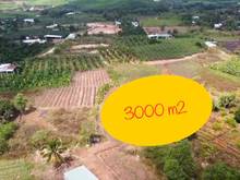 Hình ảnh Bán 3 Sào Đất Vườn Gần UBND Xã Vĩnh Tân Dân Cư Đông Đúc