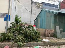 Hình ảnh Vỡ nợ cần tiền bán gấp căn nhà cấp 4 ngõ 321 Phúc Lợi,đường ô tô 7 chỗ