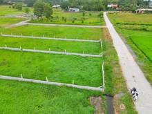 Hình ảnh Đất vườn củ chi mặt tiền bê tông 12m, 566m2 giá 1ty980 sổ hồng riêng.