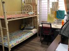 Hình ảnh Hẻm Xe Hơi, Trần Thị Nghỉ Gò Vấp 126m2, giá rẻ.