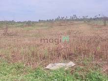 Hình ảnh Full 2000m2 thổ cư - khu quy hoạch dân cư giá chỉ 7tr/m2 sau T1 gia 10