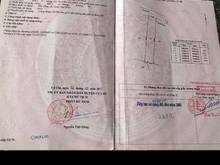 Hình ảnh Đất ở giá rẻ, phù hợp xây dựng biệt thự, nhà sân vườn nghỉ dưỡng