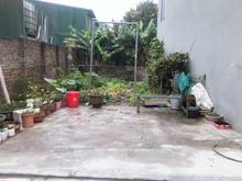 Hình ảnh Anh trai cần tiền thanh khoản gấp mảnh đất đẹp hướng Bắc tại tổ 8