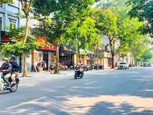 Hình ảnh Chính chủ cần bán  lô đất góc khu đấu giá Tầm Dâu - Việt Hưng