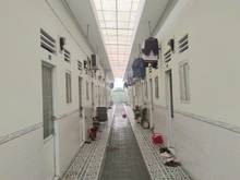 Hình ảnh CHDV 4 Lầu, An Phú Đông Q12, 600m2 Thu nhập 150 Triệu, 30 tỷ TL.