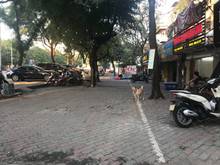 Hình ảnh Bán nhà mặt phố ô tô, KD sầm uất 46m2 quận Đống Đa, 12.3 tỷ.