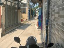 Hình ảnh Nhà CCVB Thạnh Lộc 19 1ty 300