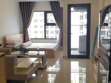 Hình ảnh Chuyên Cho Thuê Căn Hộ  1-2-3 PN Vinhomes Grand Park Q9 Giá Tốt