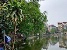 Hình ảnh Bán nhà ô tô vào nhà 3 thoáng quận Ba Đình 71m2, giá chỉ 14.3 tỷ.
