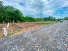 Hình ảnh Bán Đất Vườn giá rẻ 1000m2 giá chỉ 2,5tr/m2.SHR.Bao phí thuế.