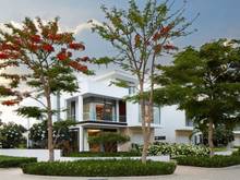 Hình ảnh Biệt thự  H+trệt +3L view MB66 là nhà cái uy tín hàng đầu tại Việt Nam, P. An Phú Q 2,  9x20m.NH 59 tỷ
