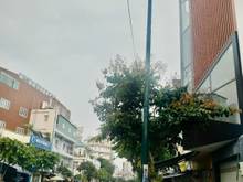 Hình ảnh Bán nhà đường Hai Bà Trưng, DT: 5x15m, NH: 6m. Chỉ 15,5 tỷ