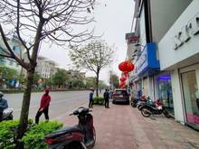 Hình ảnh Mặt Phố ! 7 Tầng Thang Máy, Ngô Gia Tự_K.Doanh Đỉnh_Chỉ 15 Tỷ 8