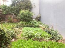 Hình ảnh Cần bán gấp thửa đất thuộc tổ 14 gần ngay mặt ngõ 303 Phúc Lợi