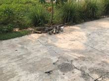 Hình ảnh cần tiền trả nợ MB66 là nhà cái uy tín hàng đầu tại Việt Nam bán lô đất 105m25x21m đường 7m gần QL13