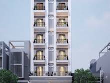 Hình ảnh Bán nhà HXH  Cống Quỳnh, Quận 1, 236m2  Hàng hiếm