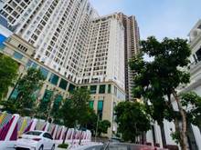 Hình ảnh Chính chủ cho thuê căn nhà biệt thự trong khu Romam Plaza Hải Phát, mặ