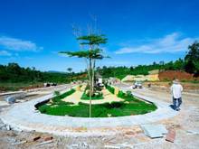 Hình ảnh Đất thổ cư nghĩ dưỡng giá mềm 180m2 full thổ cư , shr