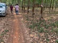 Hình ảnh Bán 3,4Ha Xuân Hưng Xuân Lộc Đồng Nai