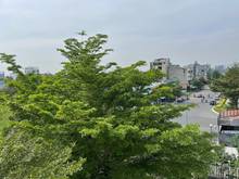 Hình ảnh Cần cho thuê gấp văn phòng ngay khu Đảo Kim Cương.