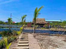 Hình ảnh Đất vườn củ chi 973m2 giá chỉ 1tr8/m2 sổ hồng riêng, đã làm nhà vườn.