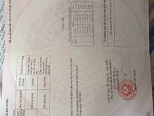 Hình ảnh Bán đất 455,4m2, 18,5 tỷ Khu Biệt Thự Dầu Khí số 816 Nguyễn Duy Trinh,