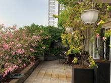 Hình ảnh Bán Trang Chủ MB66.COM / Đăng Ký Tặng 66K sky garden 3 68m2 2pn2wc giá2ty7
