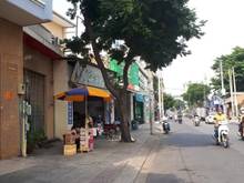 Hình ảnh Chính chủ cho thuê MB đường Vườn Lài, Q Tân Phú