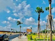 Hình ảnh Đất ngay đường DT767 Trảng bom