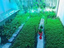 Hình ảnh Nhà 120m2 hẻm 64 Đường Đào Tông Nguyên xe hơi