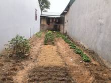 Hình ảnh Không sử dụng đến mảnh đất nằm tại phường Long Biên cần bán gấp
