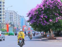 Hình ảnh Bán nhà đẹp trung tâm Ba Đình 66m2, giá chỉ 9.3 TỶ.