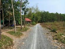 Hình ảnh Đất xào giá rẻ Bình Lợi Vĩnh Cửu