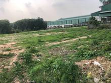 Hình ảnh Bán 10.028m đất Long Nguyên gần TT thị Xã Bến Cát, cách ĐT 749A 100m