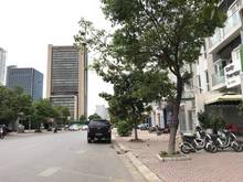 Hình ảnh Cần bán nhà mặt phố Nguyễn Chánh. Nam Trung Yên. Vị trí đẹp.