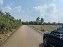 Hình ảnh Sỉ 13 nền MT nhựa thông ĐT 756, dt 5×40, 100m tc Thanh An Hớn Quản