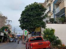 Hình ảnh bán đất Quận 12, đường nhánh Lê Văn Khương, 734m2 FULL THỔ, 28 tỷ 5 TL