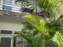 Hình ảnh Bán nhà đường số Phạm Thế Hiển, Quận 8, khu Ba Tơ