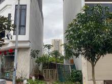 Hình ảnh Bán 35m đất TĐC Giang Biên, Long Biên, mặt tiền 4,5m