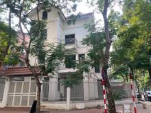 Hình ảnh Cho thuê biệt thự Mễ Trì 250m2 4 tầng lô góc mt 15m mới đẹp
