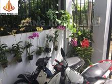 Hình ảnh Nhà cấp 4, ngang 6.3m, đường rộng 7m. Sát trục đường số 2 p.Trường Thọ