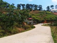 Hình ảnh Cần Bán Đất view thung lũng, Phường 7, 756m-10tr/m TP Đà Lạt