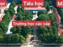Hình ảnh chủ cần bán GẤP 2 LÔ VIEW trường mầm non,CẤP 1,2 MINH THÀNH