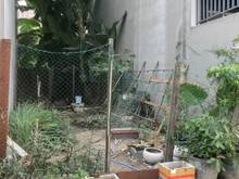 Hình ảnh Lô đất 4x16m hẻm 1135 Huỳnh Tấn Phát, Phường Phú Thuận, Quận 7