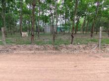 Hình ảnh Đất đẹp thổ cư 200m2 KCN Lộc Ninh Bình Phước
