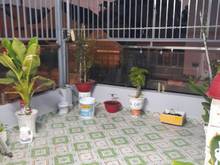Hình ảnh Bán Nhà MẶT TIỀN Trần Thánh Tông, CÓ SÂN THƯỢNG TẶNG TOÀN BỘ NỘI THẤT