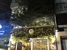 Hình ảnh Cho thuê nhà mặt tiền Nguyễn Cảnh Chân, P.Nguyễn Cư Trinh, Quận 1